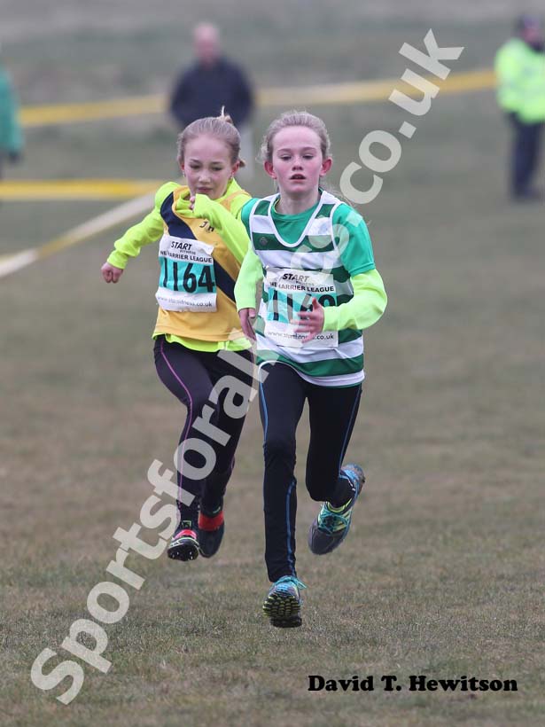 Battle between 1169 and 1164, Under-13s girls, North East Harrier League, Wrekerton, Gateshead.